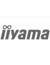 IIYAMA